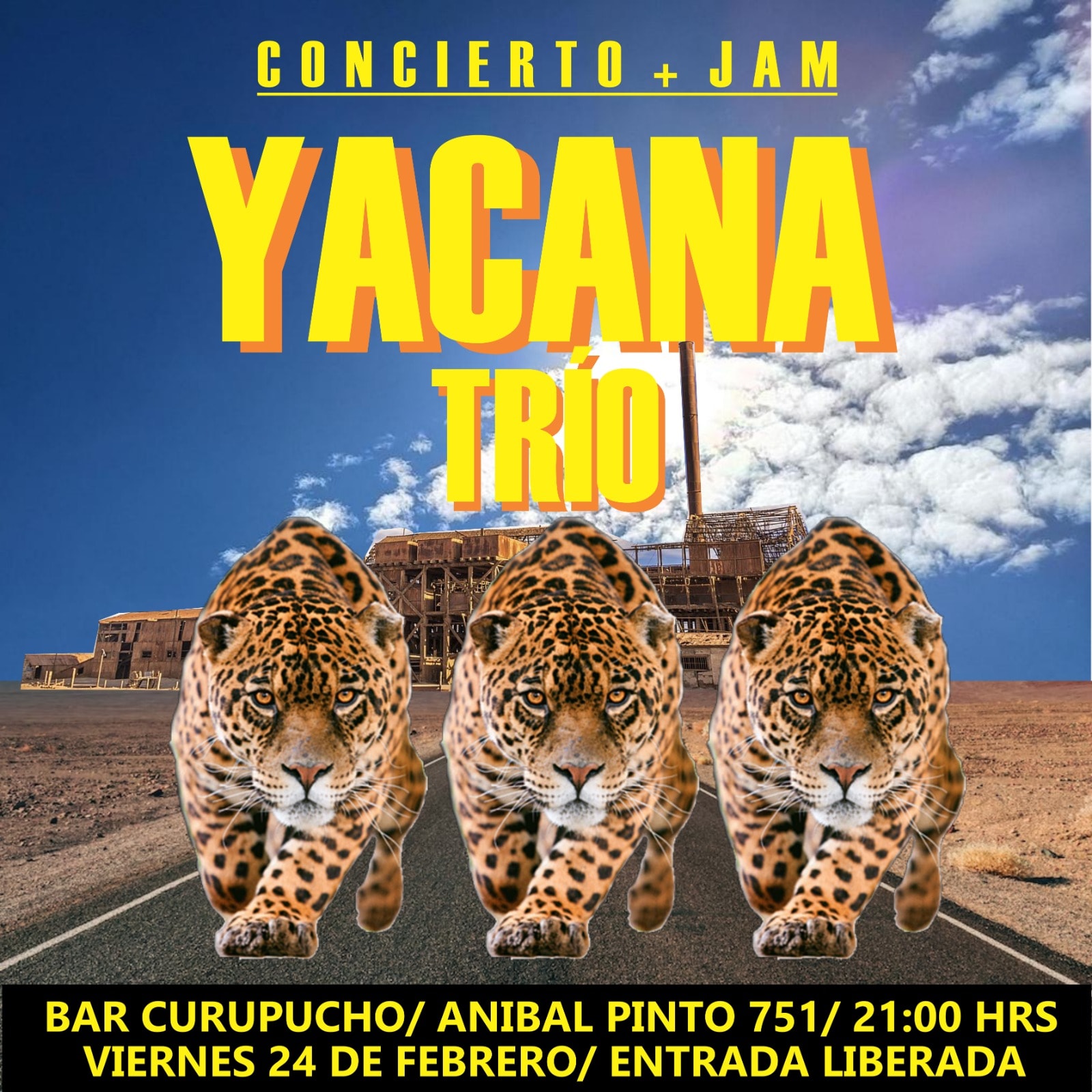 YacanaTrio Curupucho