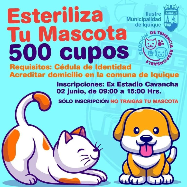 Esteriliza a tu mascota