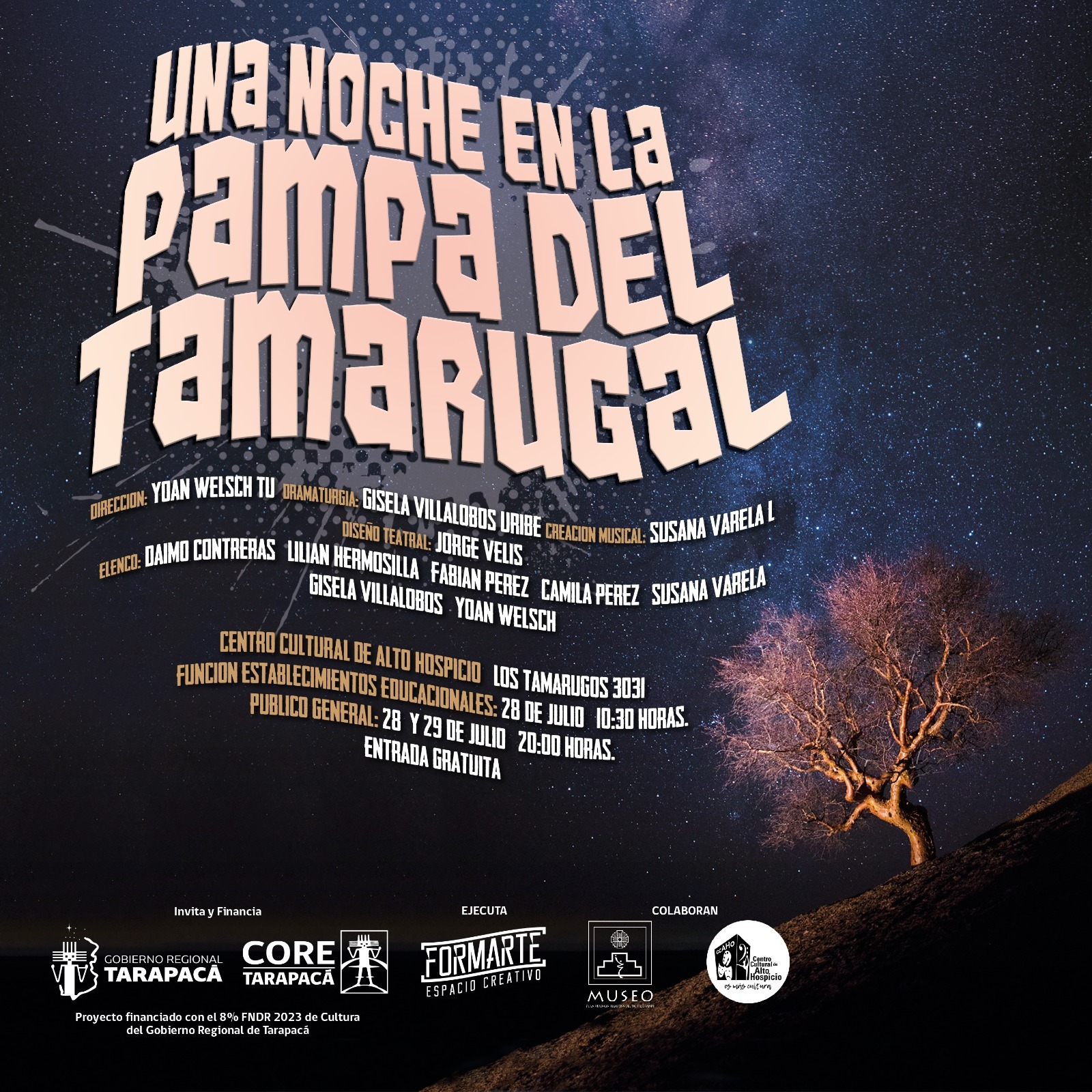 Una Noche en la Pampa del Tamarugal FORMARTE