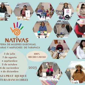 Expo Nativas Mujeres de pueblos originarios aymara, Quechua y mapuche