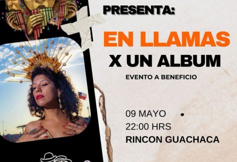 Pampa Travesti en llamas x un album
