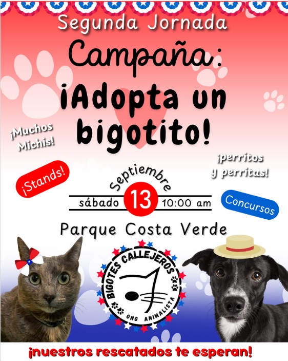 Adopta un bigotito