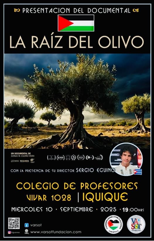 La raíz del olivo
