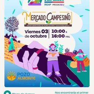 Mercado campesino en Pozo Almonte