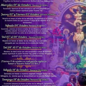 Señor de los Milagros Iquique 2025 programación 1