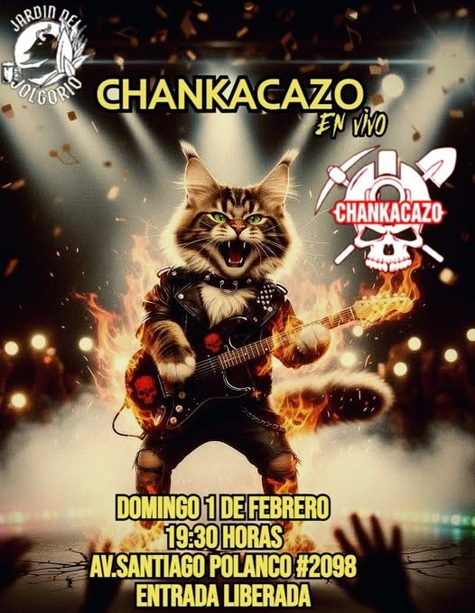 Chankacazo en vivo