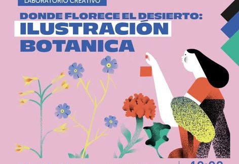 Donde florece el desierto