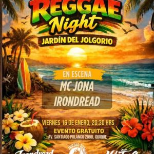 Reggae Night