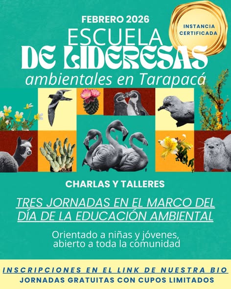 Escuela de Lideresas en Tarapacá