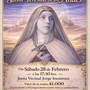 Lota Santa Teresita de los Andes