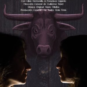 La niña y el toro