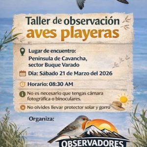 Taller de observación Aves Playeras
