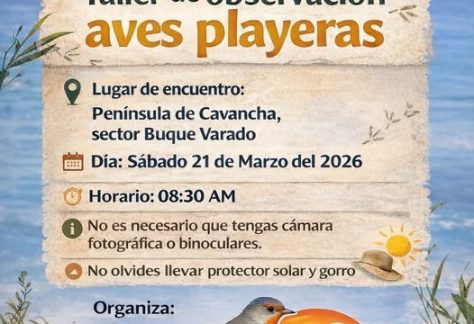 Taller de observación Aves Playeras