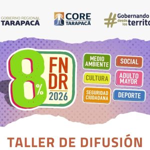 Talleres Concurso 8% FNDR 2026