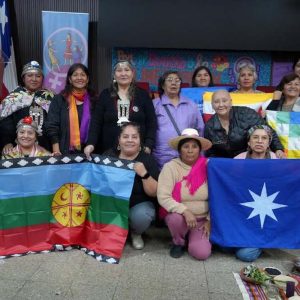 Frente Indigena Anamuri