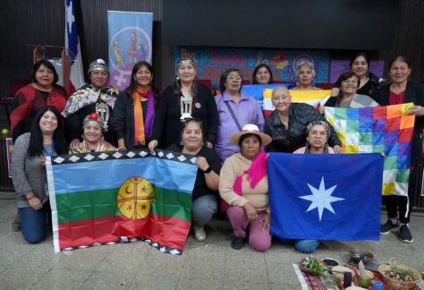 Frente Indigena Anamuri