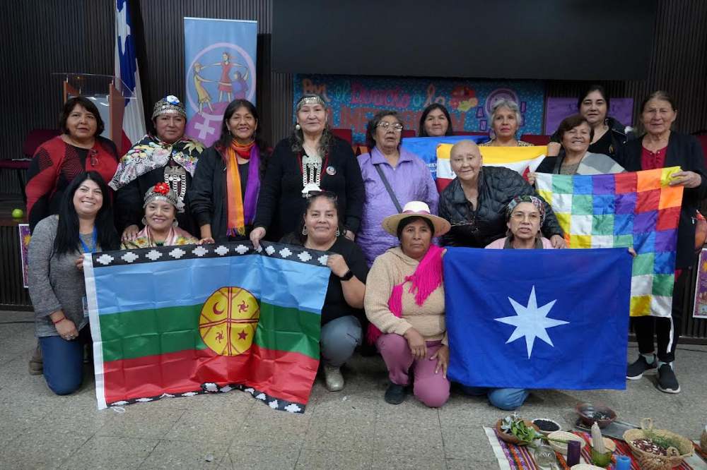 Frente Indigena Anamuri