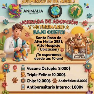 Jornada de adopción y atención veterinaria a bajo costo