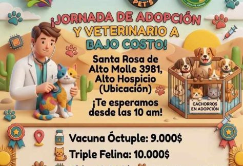 Jornada de adopción y atención veterinaria a bajo costo