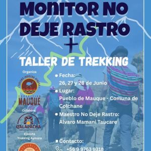 Monitor no deja rastro