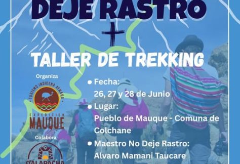 Monitor no deja rastro
