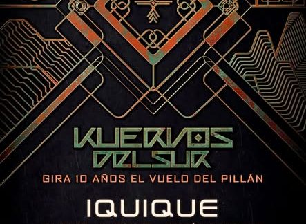 Kuervos del sur en Iquique