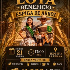 Lota beneficio Espiga de arroz