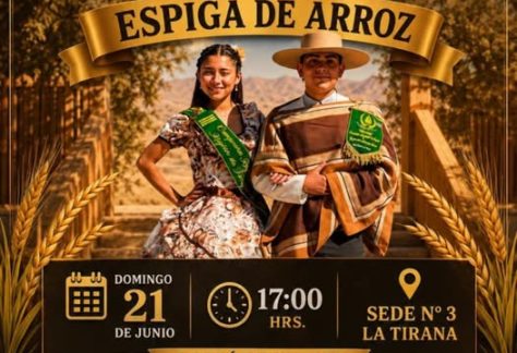 Lota beneficio Espiga de arroz