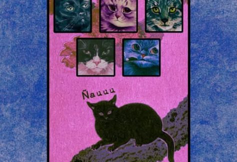 Primera Asociación de Felinos Cantarines