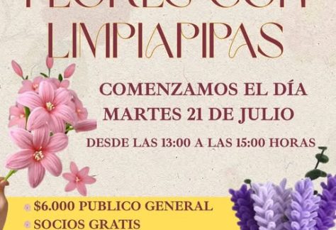 Taller de Flores con Limpiapipa