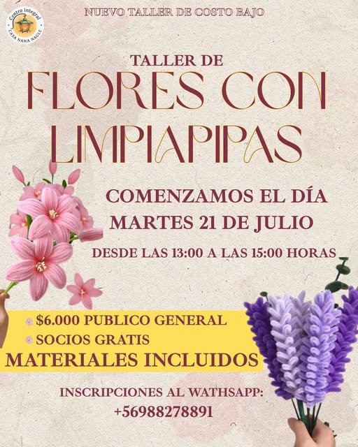 Taller de Flores con Limpiapipa