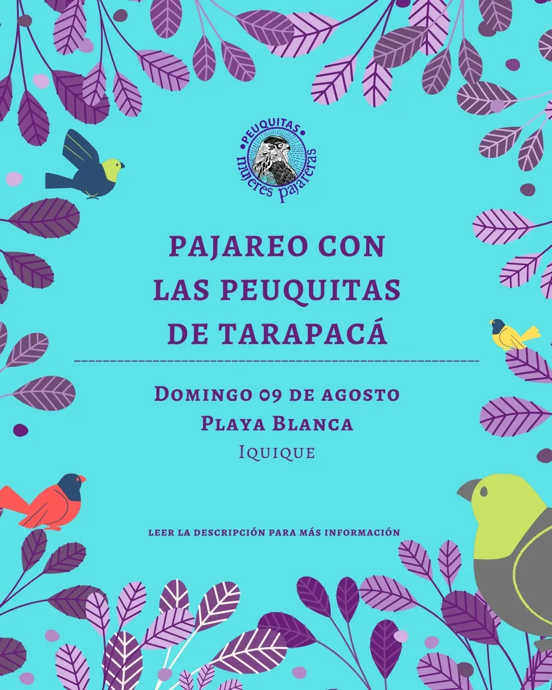 Pajareo con la Peuquitas de Tarapacá