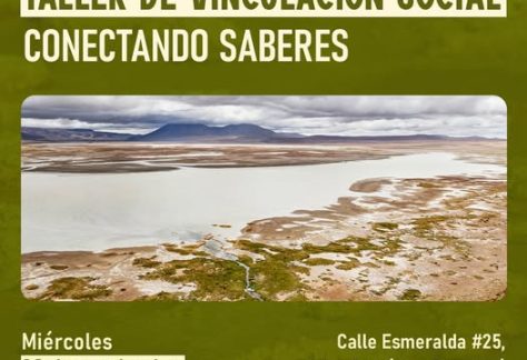Conectando Saberes