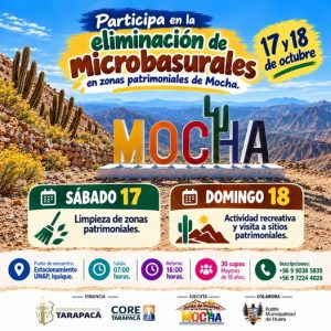 Eliminación de microbasurales en Mocha