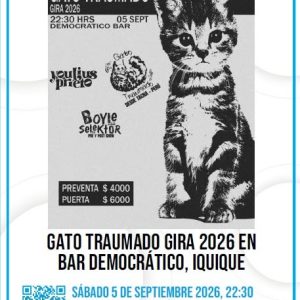 Gato Traumado