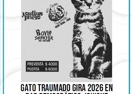 Gato Traumado