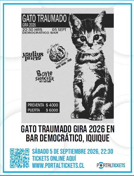 Gato Traumado
