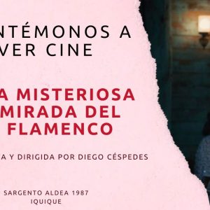 La misteriosa mirada del flamenco