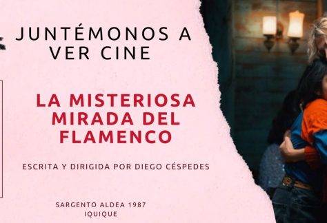 La misteriosa mirada del flamenco