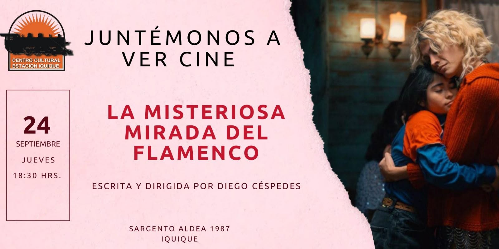 La misteriosa mirada del flamenco