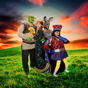 Shrek Fintdaz iquique