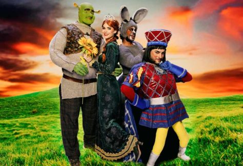 Shrek Fintdaz iquique