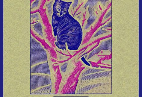 2da Asociación de Felinos Cantarines