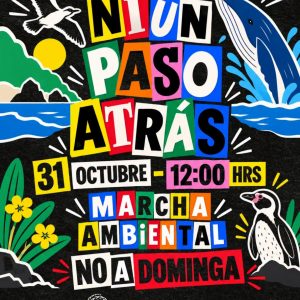 Marcha ambiental No a Dominga