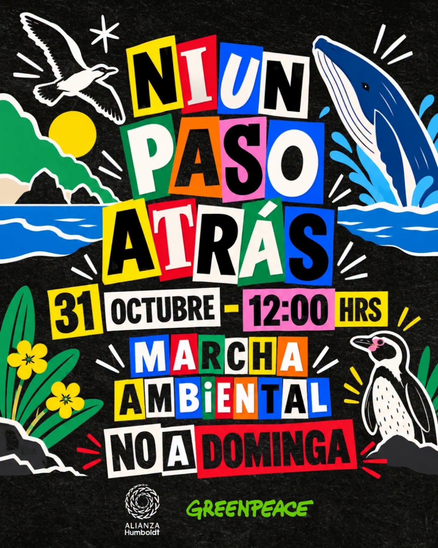 Marcha ambiental No a Dominga